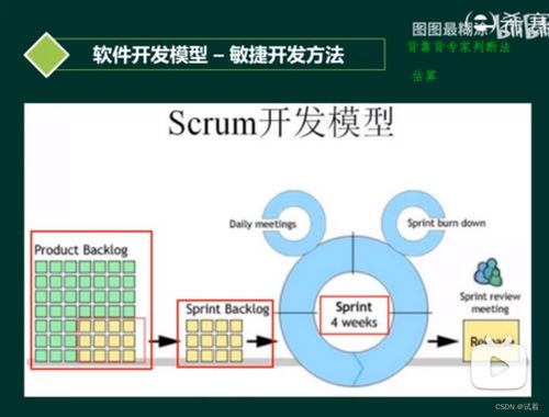 系统分析师 软件工程